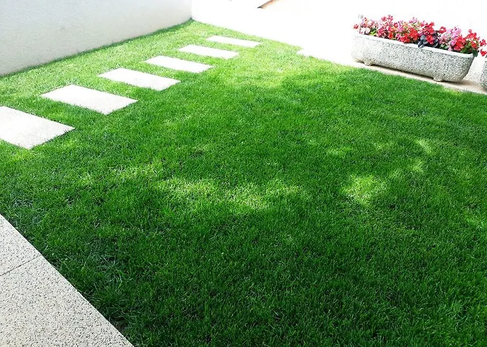 Bonaca פוסדריה